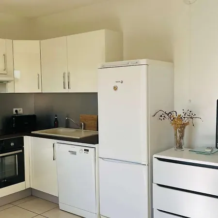 T3 Avec Parking, Wifi Et Clim - 1,5 Km De La Plage A Rousse - Fr-1-63-320